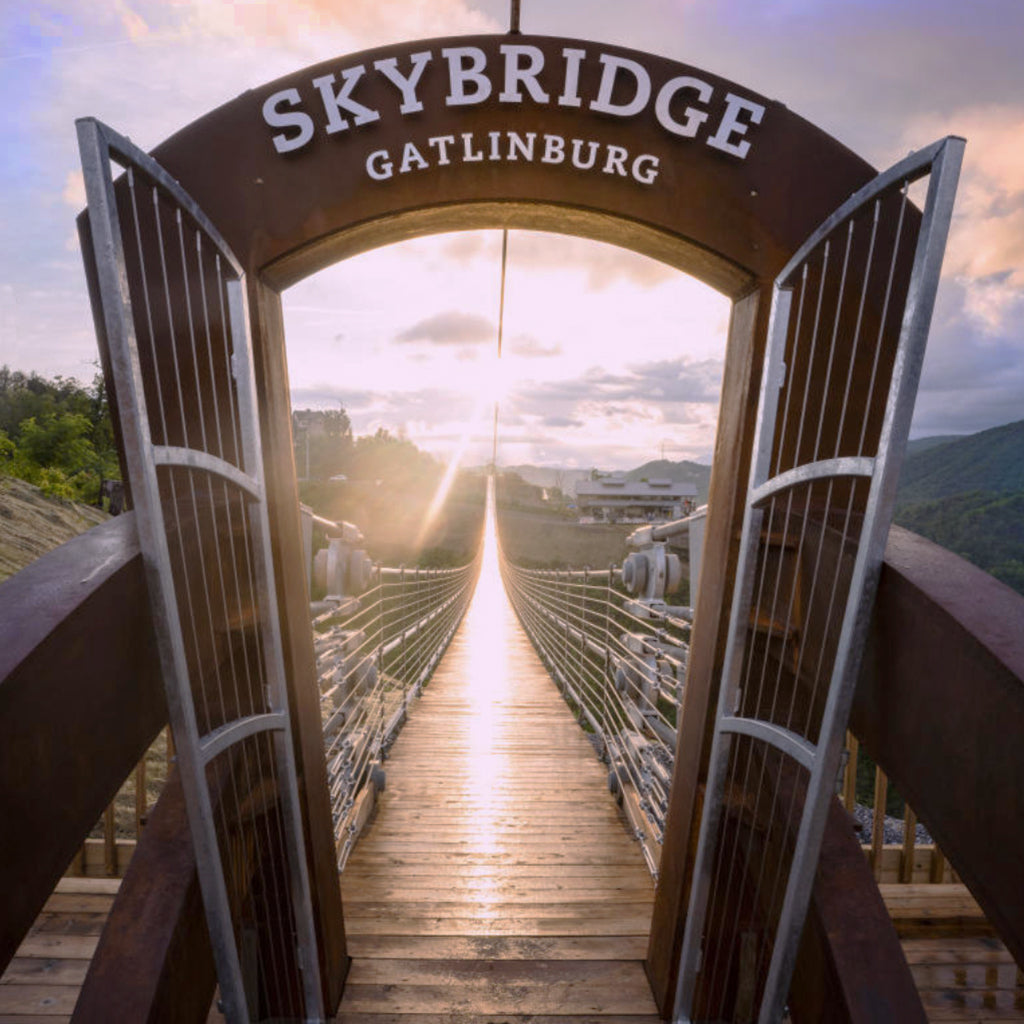 The Absolute Best Way to Travel with your Dog