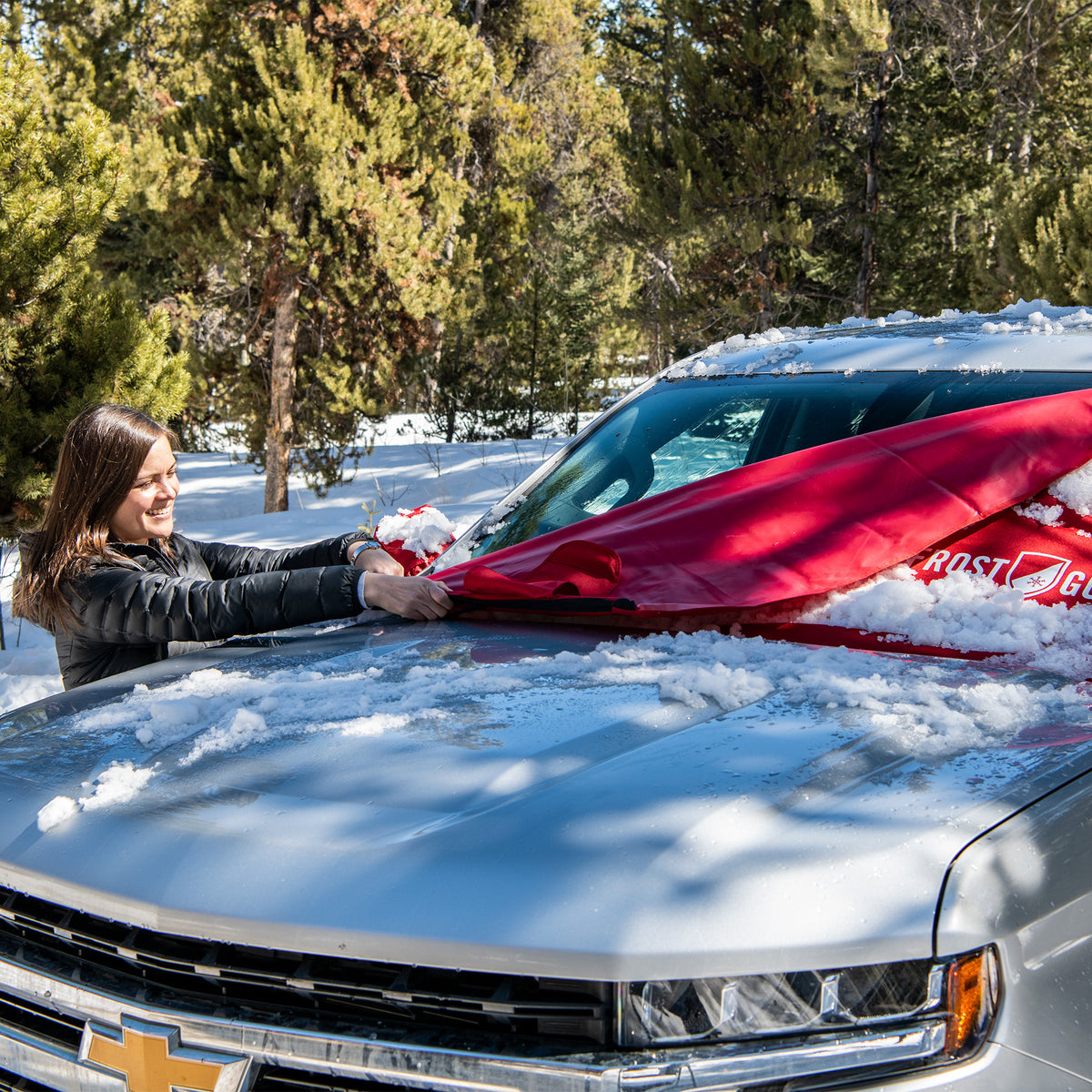 FrostGuard® Deluxe Windshield Cover